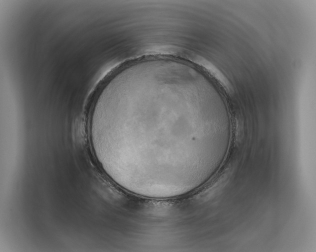 X0000111480878200907210946