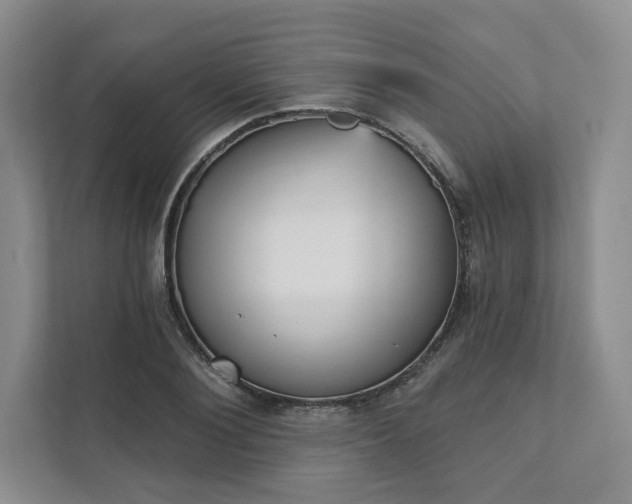 X0000111480884200907210946