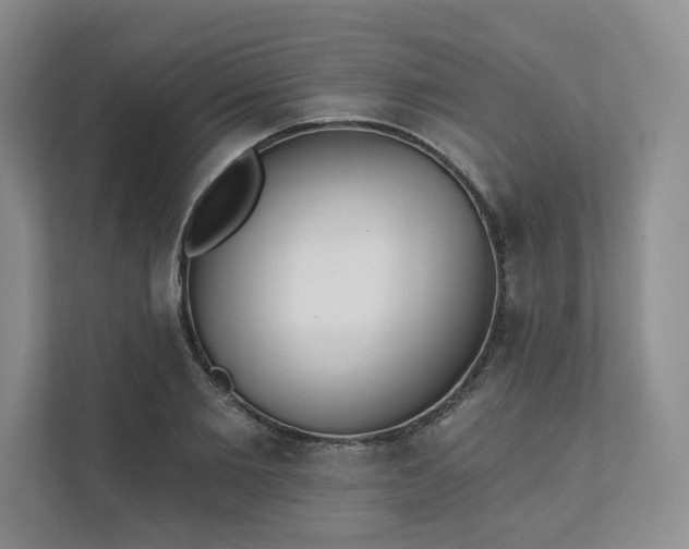 X0000111480885200907210946