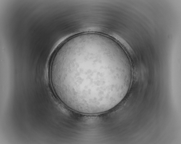 X0000111480886200907210946