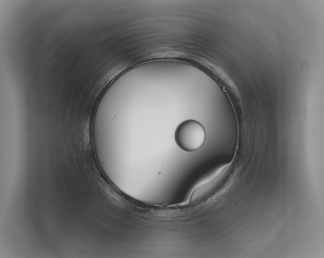 X0000111480889200907210946