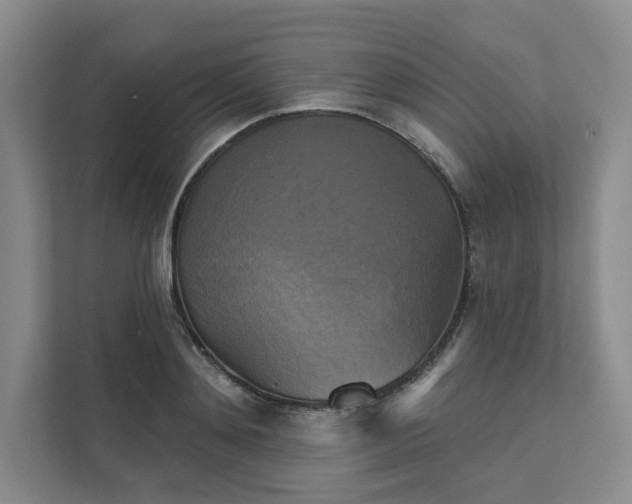 X0000111480892200907210946