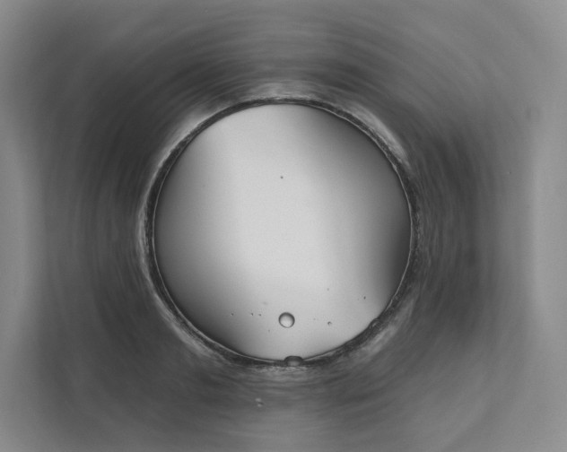 X0000111480893200907210946