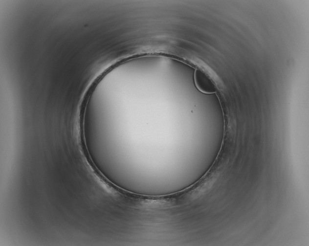 X0000111480894200907210946