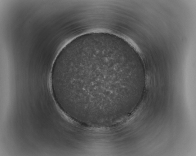 X0000111480895200907210946
