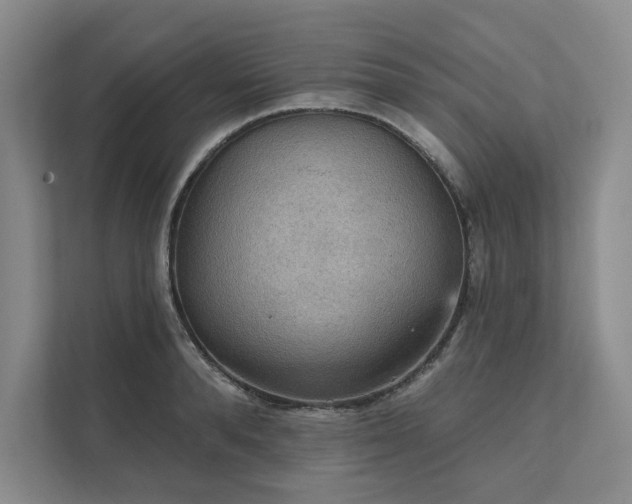X0000111480896200907210946