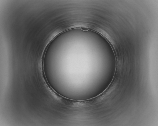 X0000111480898200907210946