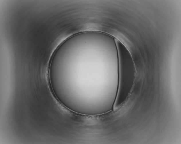 X0000111480901200907210946