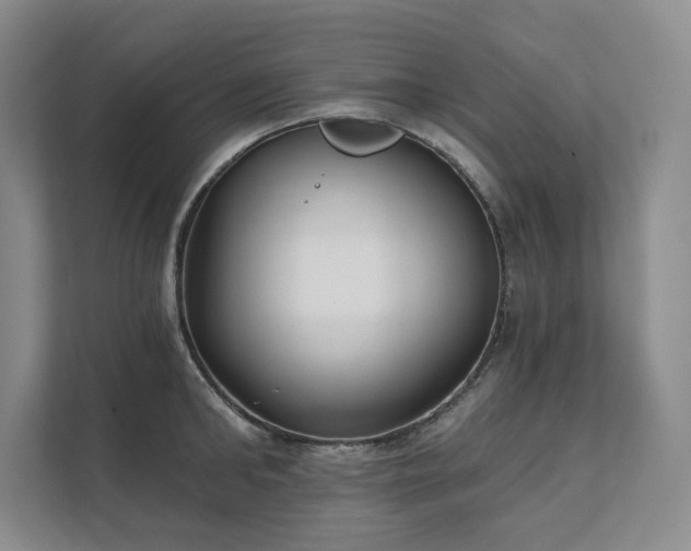 X0000111480902200907210946