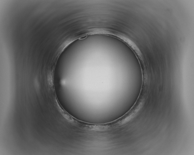 X0000111480905200907210946