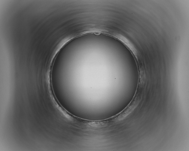 X0000111480906200907210946