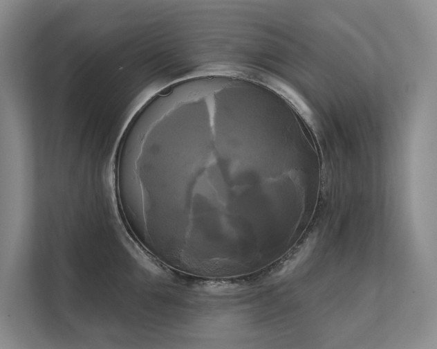 X0000111480907200907210946