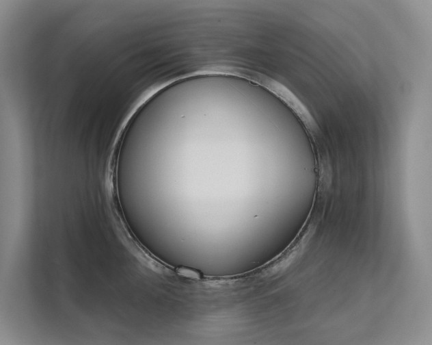 X0000111480908200907210946