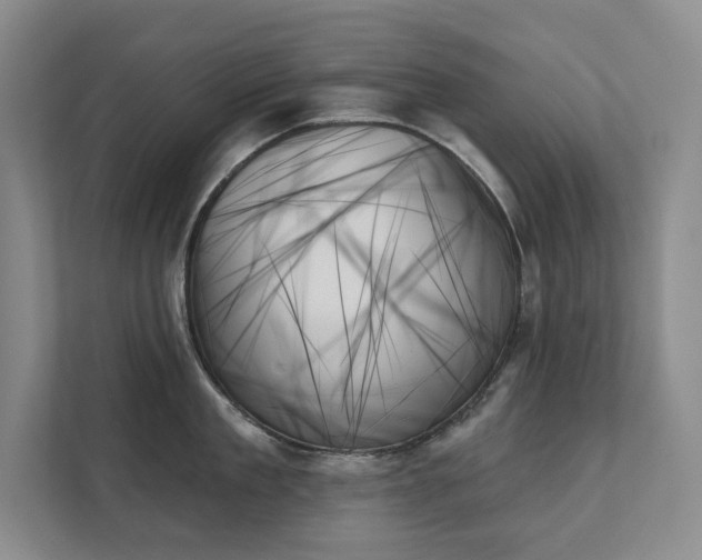 X0000111480909200907210946