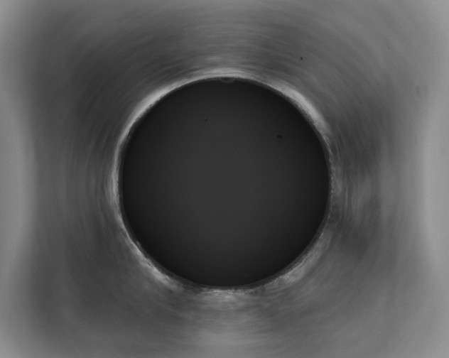 X0000111480910200907210946