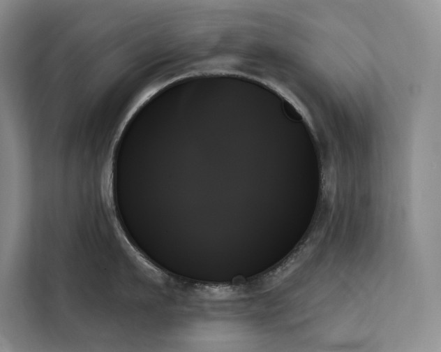 X0000111480911200907210946