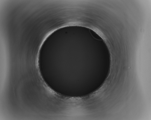 X0000111480912200907210946