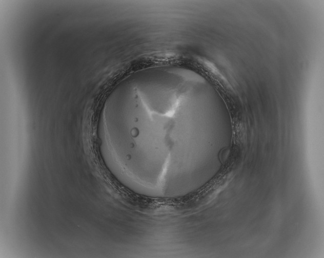 X0000111480913200907210945