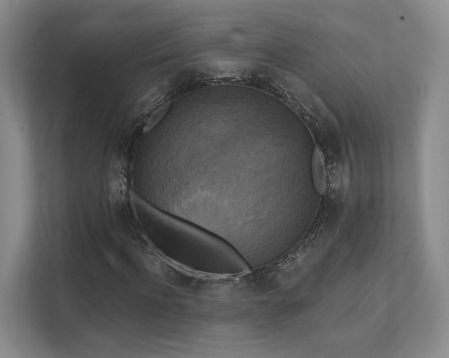 X0000111480916200907210945