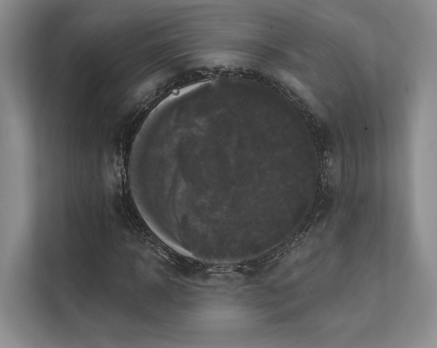 X0000111480918200907210945