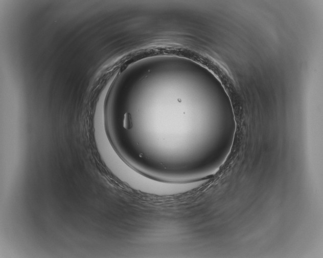 X0000111480920200907210945