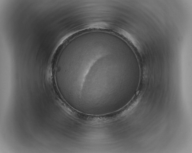 X0000111480923200907210945