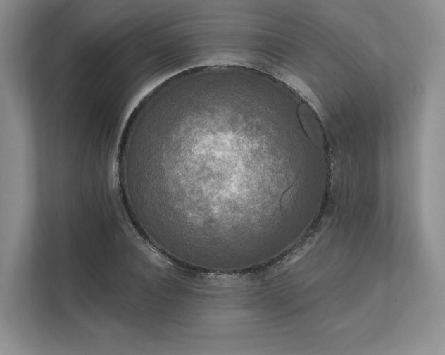 X0000111480928200907210945