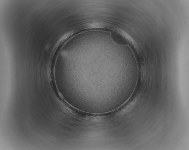 X0000111480930200907210945