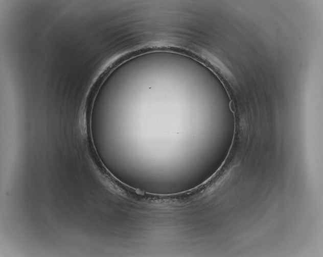X0000111480934200907210945