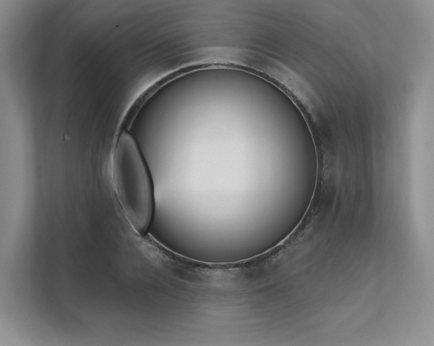 X0000111480936200907210945