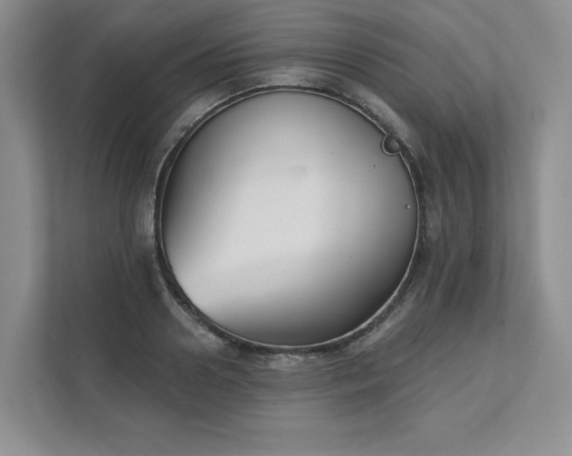 X0000111480938200907210946