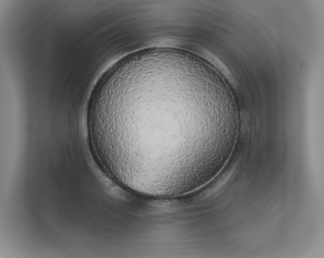X0000111480939200907210946