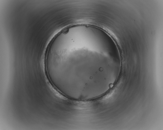 X0000111480941200907210946