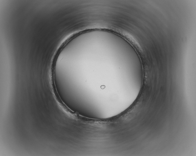 X0000111480942200907210946