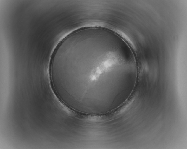 X0000111480943200907210946