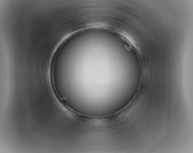 X0000111480947200907210946