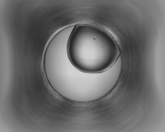 X0000111480948200907210946