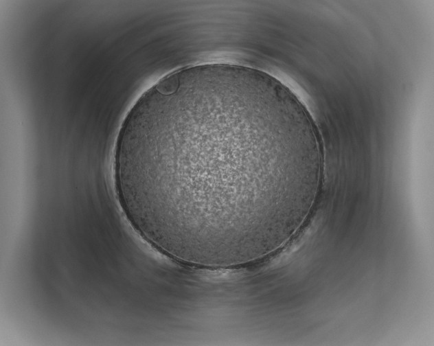 X0000111480949200907210946