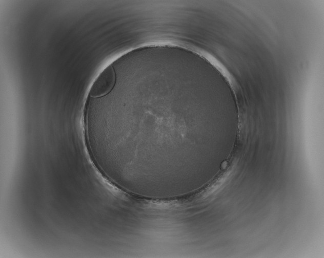 X0000111480951200907210946