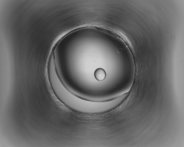 X0000111480952200907210946