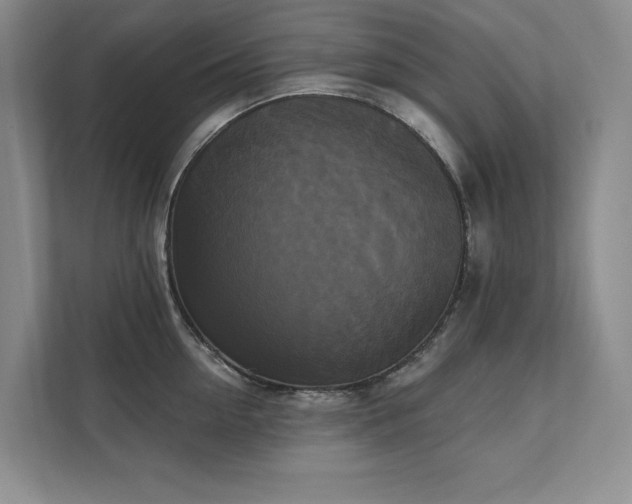 X0000111480954200907210946