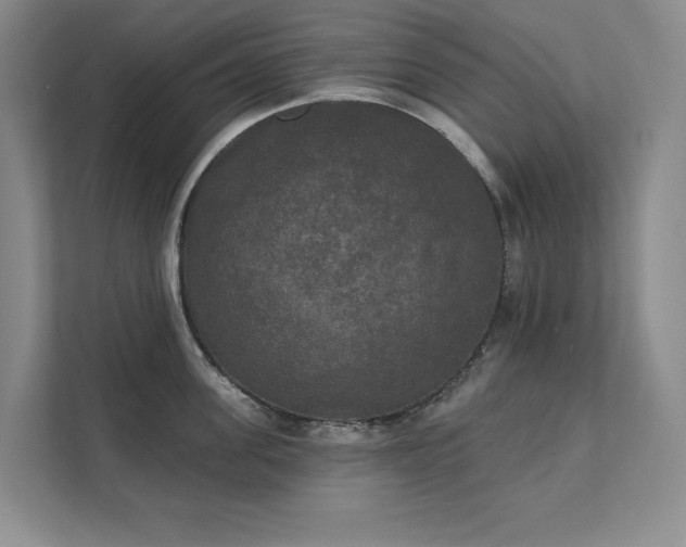 X0000111480955200907210946
