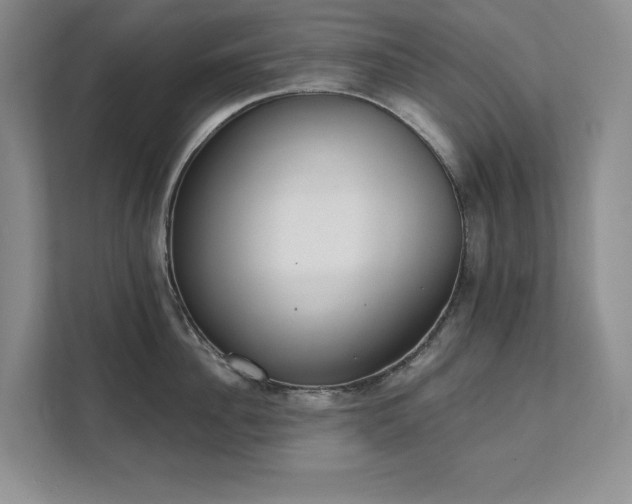 X0000111480956200907210946