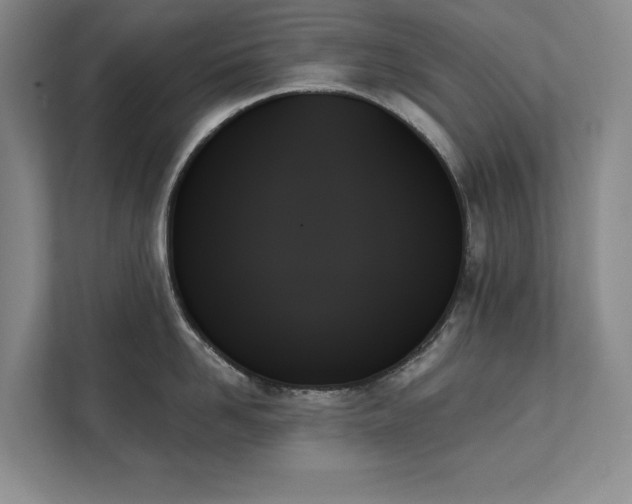 X0000111480958200907210946