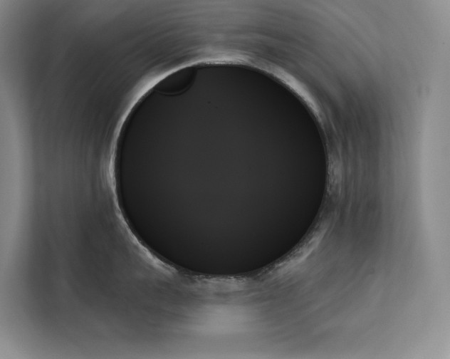 X0000111480959200907210946