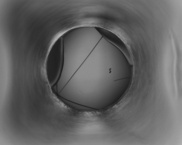 X0000111480960200907210946