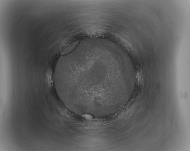 X0000111480963200907210945