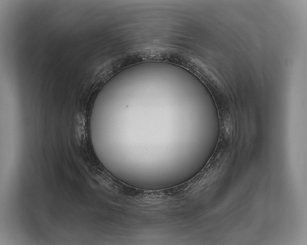 X0000111480964200907210945