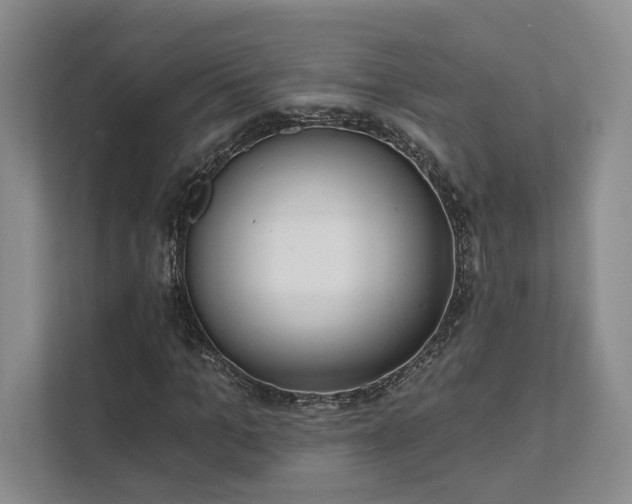 X0000111480965200907210945