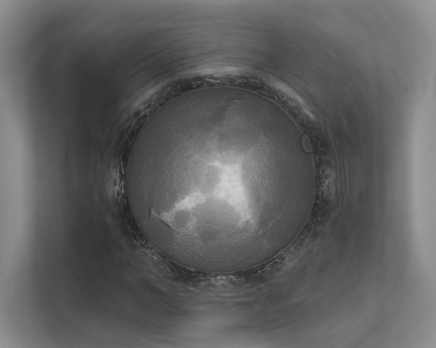 X0000111480966200907210945